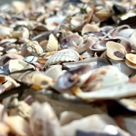 דירה Bay - Menada Apatments *