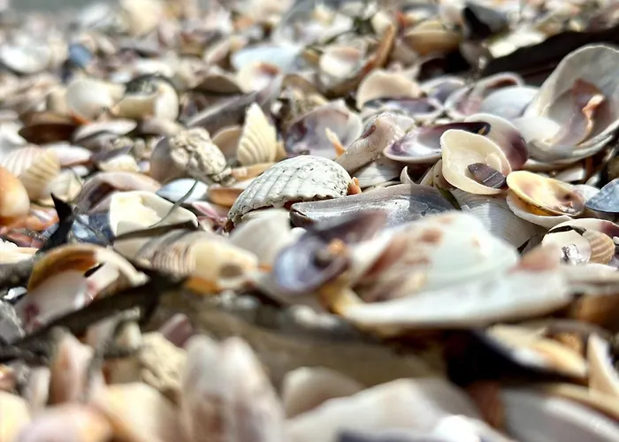 Апартамент Bay - Menada Apatments *